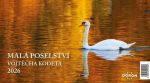 kodet-26.jpg